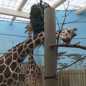 Meet your Posher, Alexandra